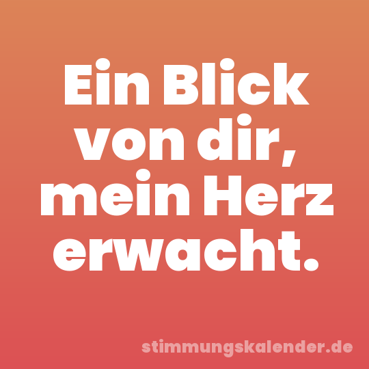 Ein Blick von dir, mein Herz erwacht.
