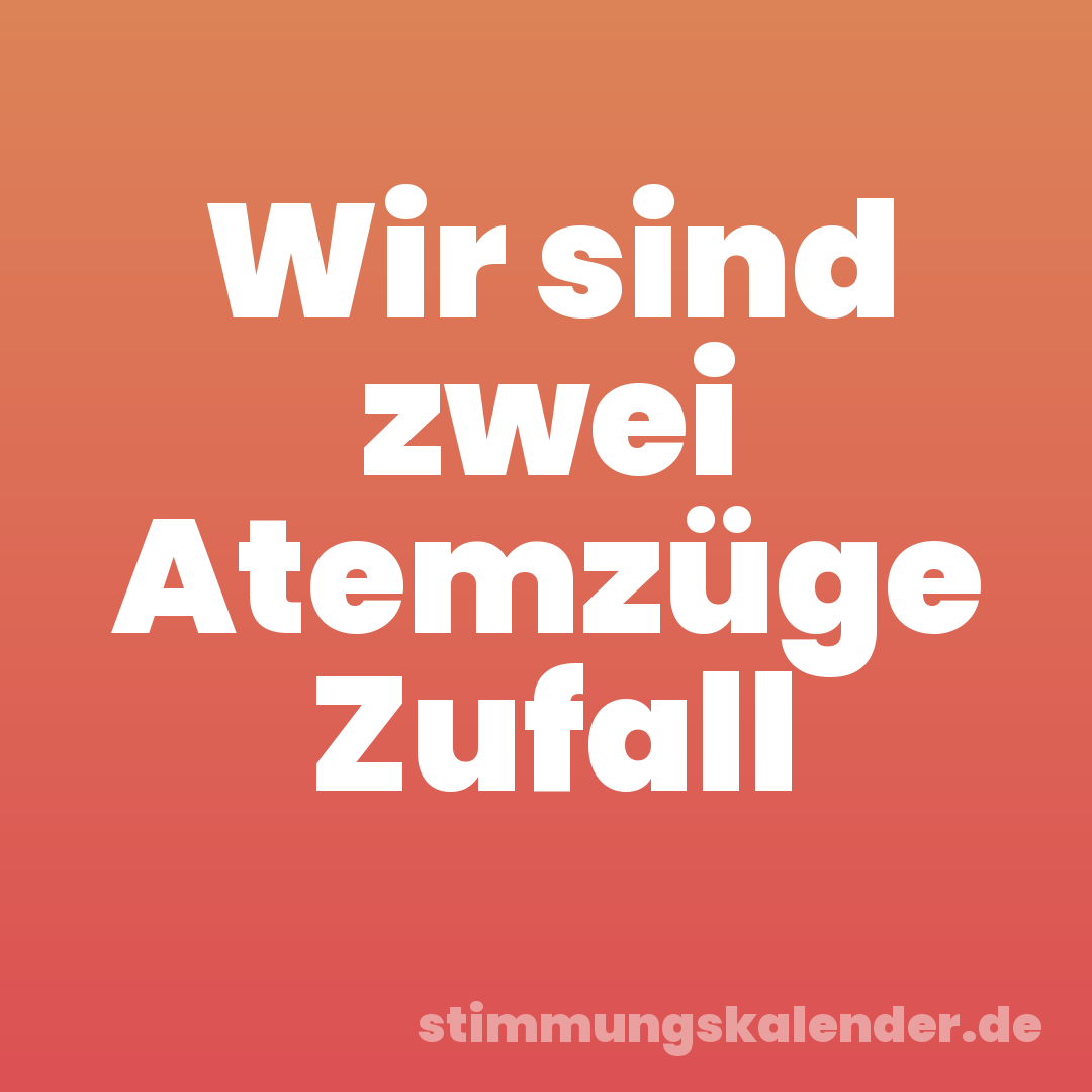 Wir sind zwei Atemzüge Zufall