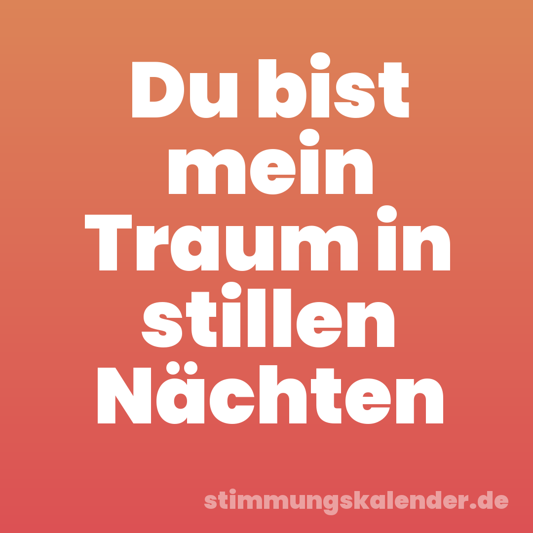 Du bist mein Traum in stillen Nächten