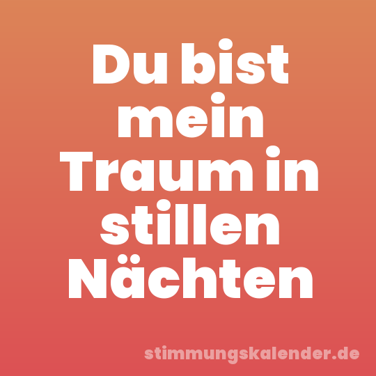Du bist mein Traum in stillen Nächten