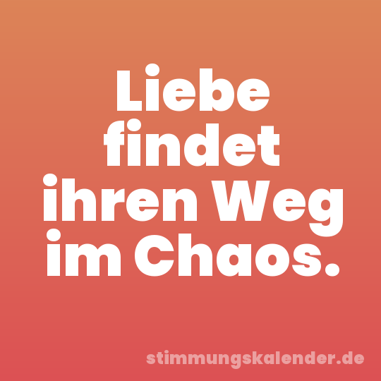 Liebe findet ihren Weg im Chaos.