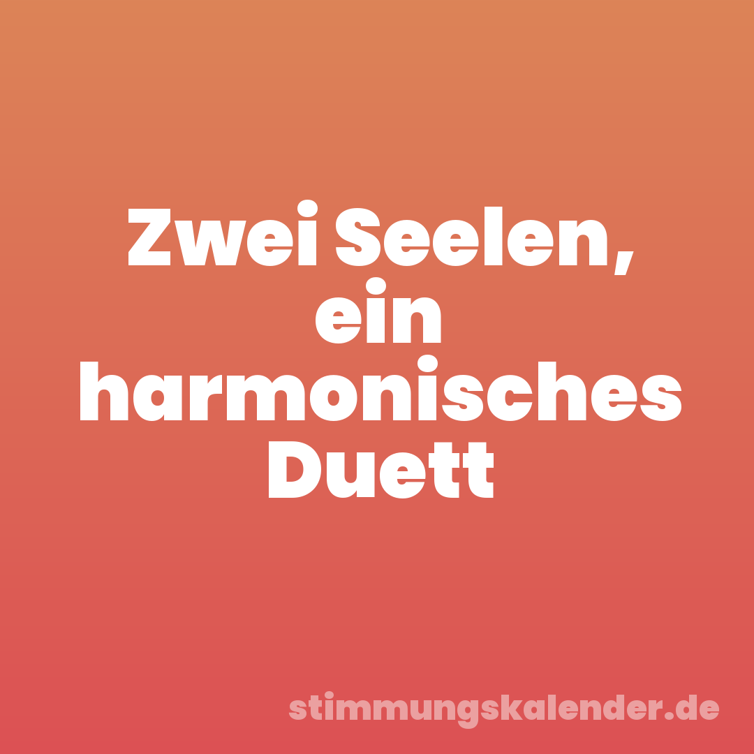 Zwei Seelen, ein harmonisches Duett
