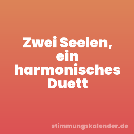 Zwei Seelen, ein harmonisches Duett