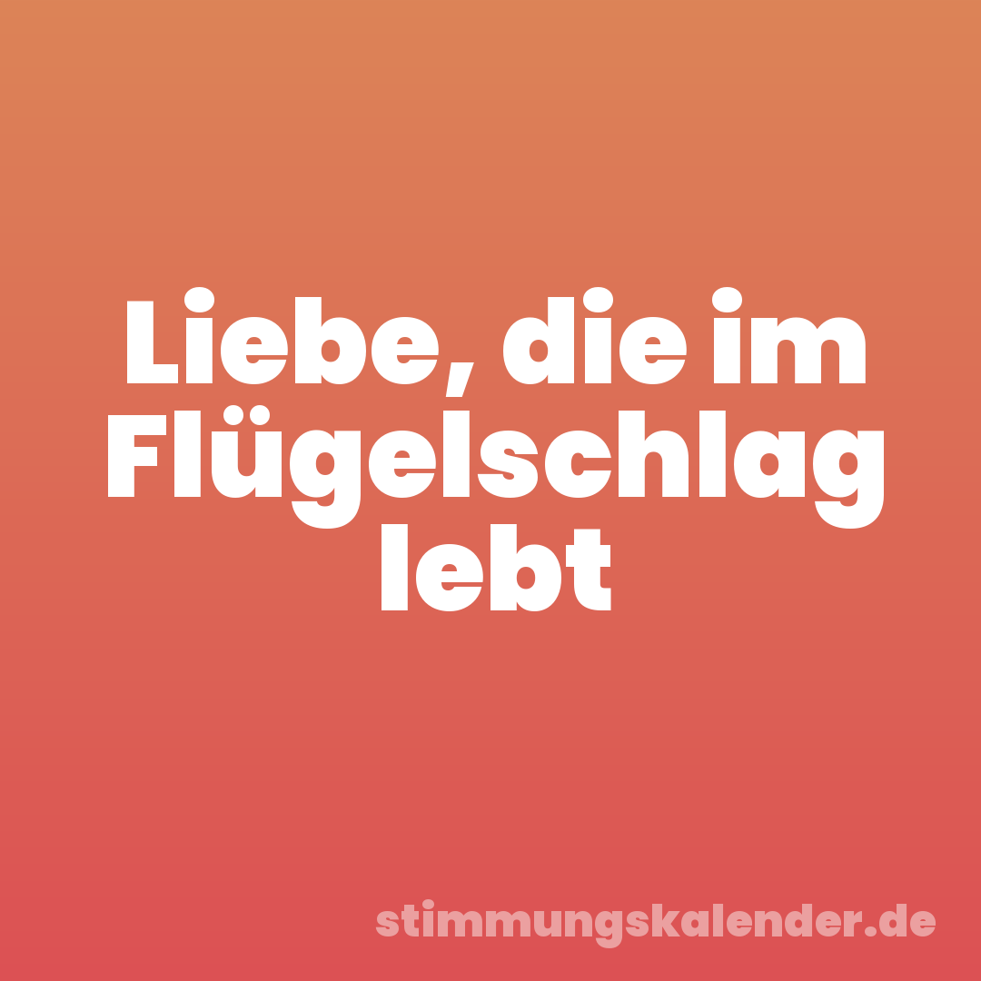 Liebe, die im Flügelschlag lebt