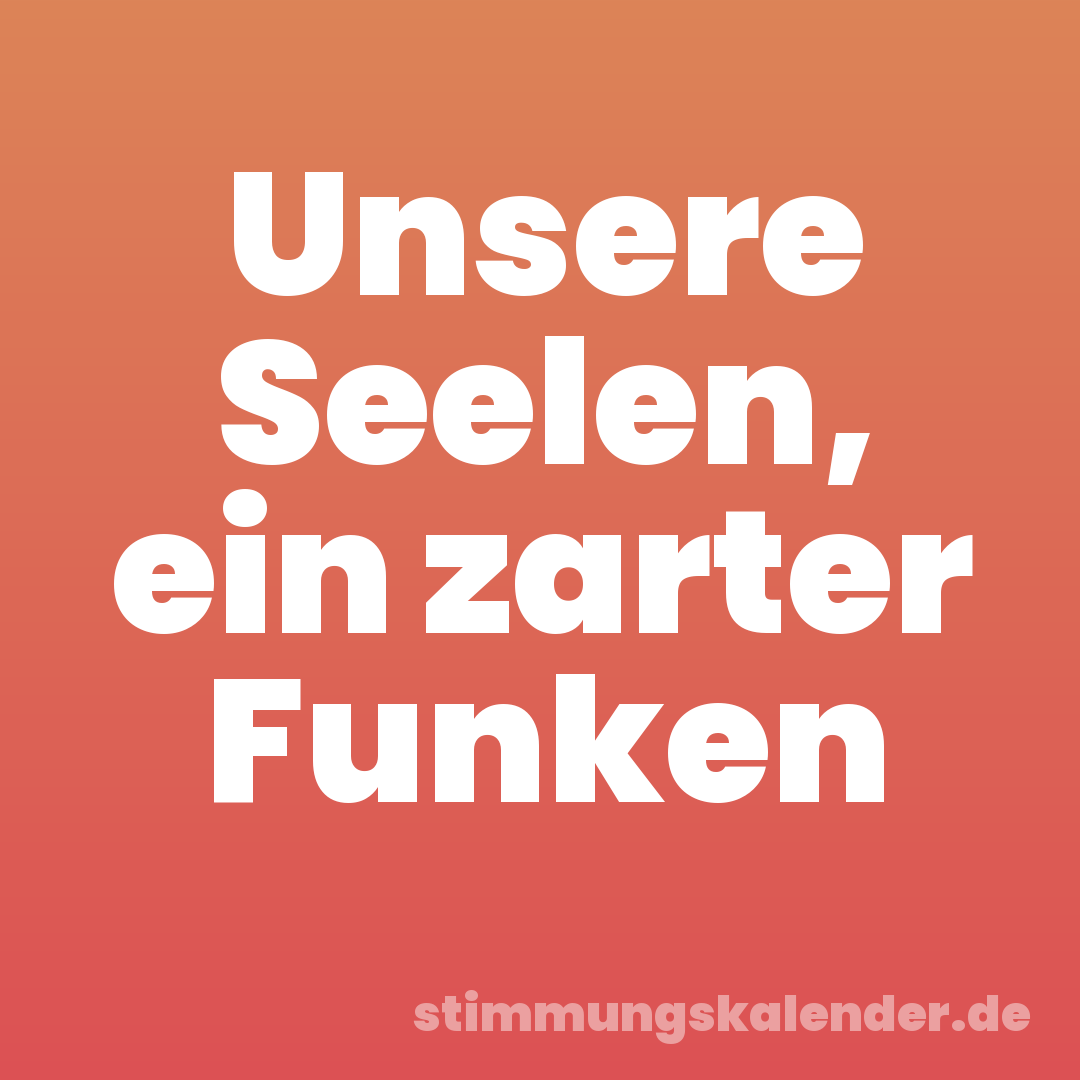 Unsere Seelen, ein zarter Funken