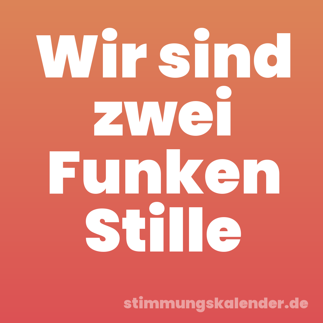 Wir sind zwei Funken Stille