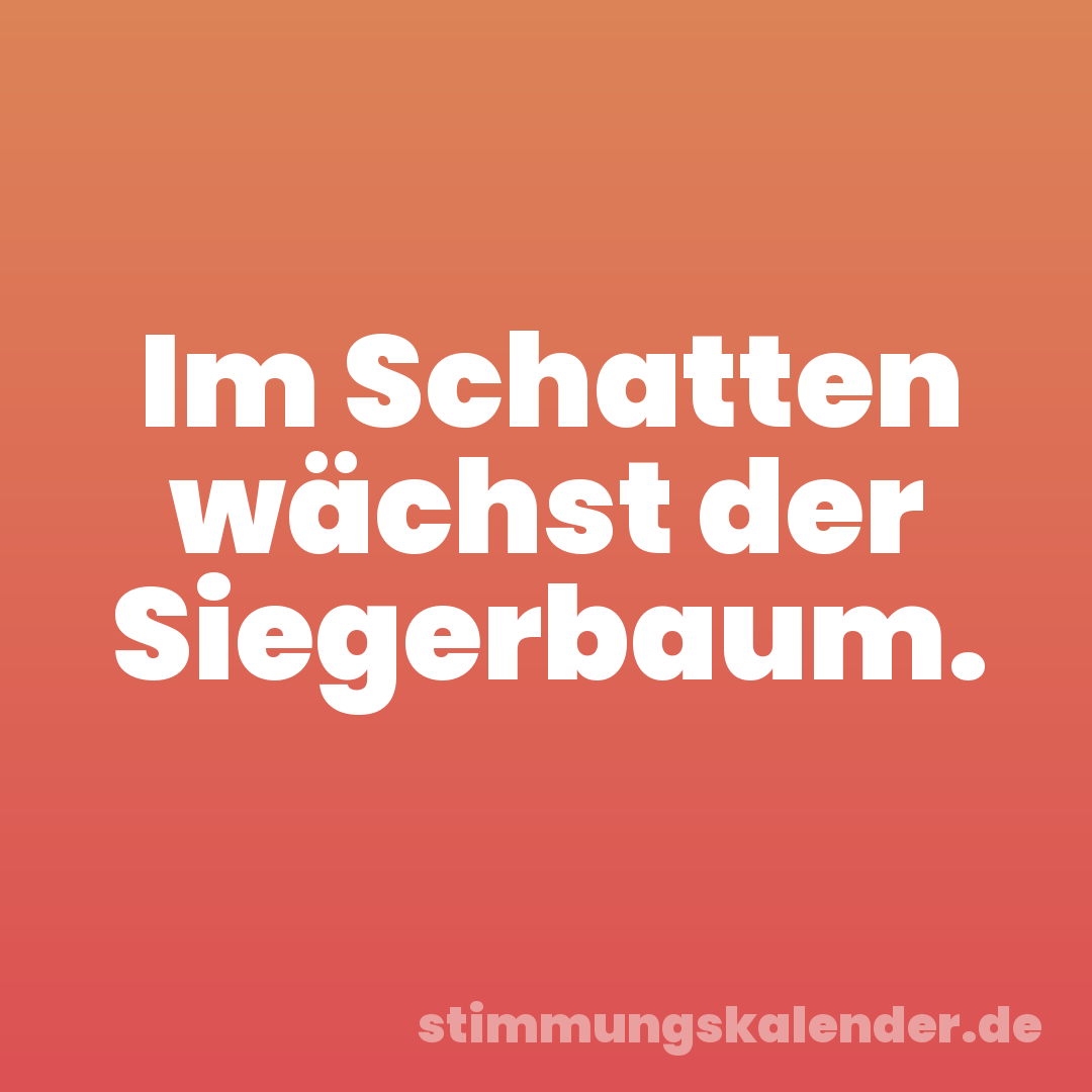 Im Schatten wächst der Siegerbaum.