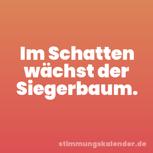 Im Schatten wächst der Siegerbaum.