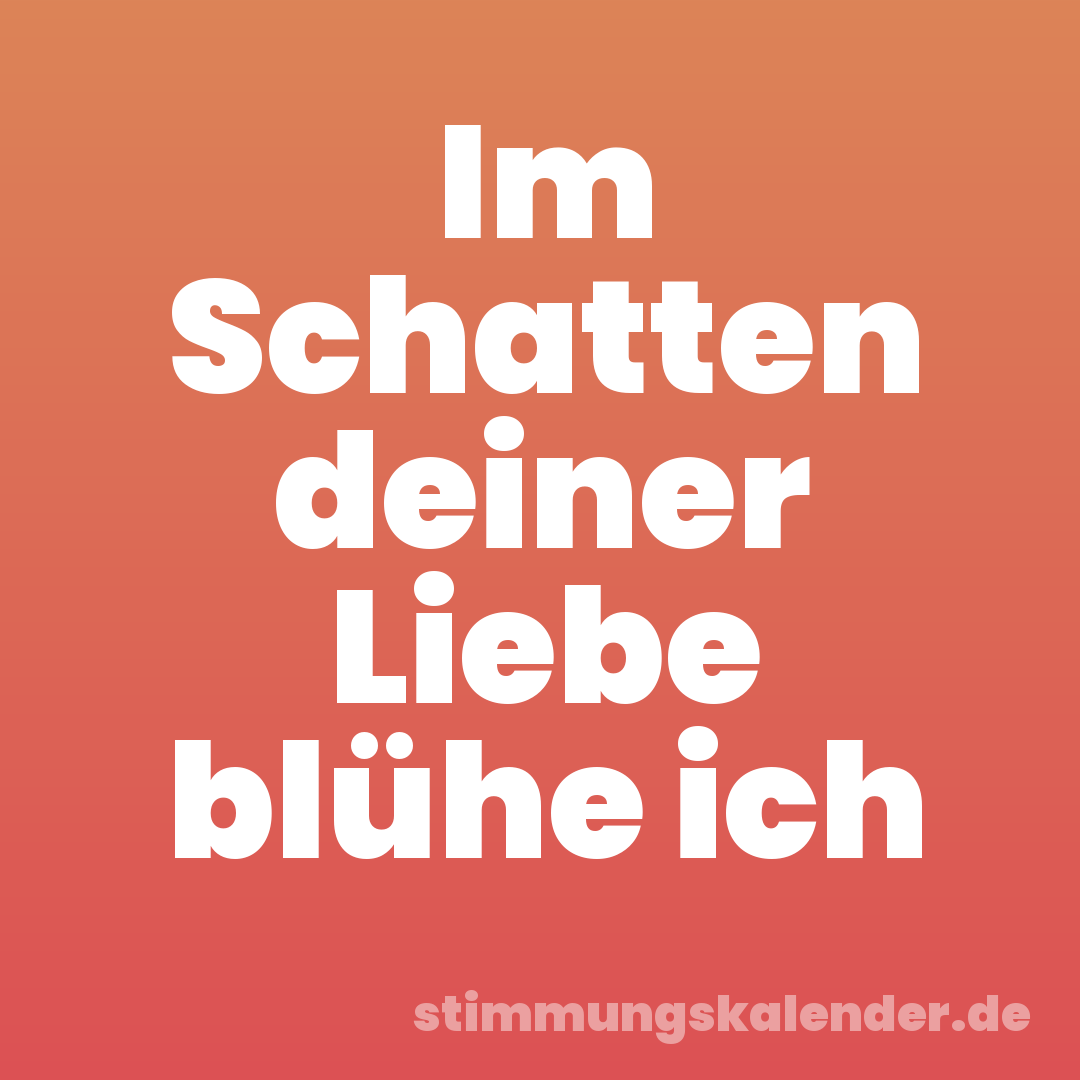 Im Schatten deiner Liebe blühe ich