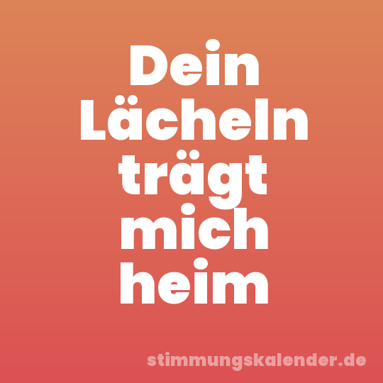 Dein Lächeln trägt mich heim