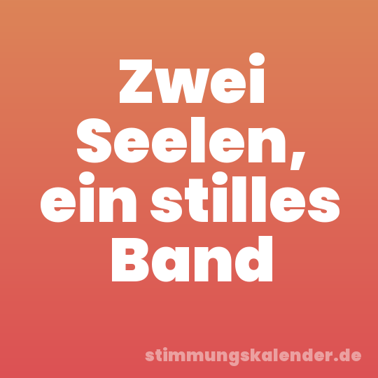 Zwei Seelen, ein stilles Band