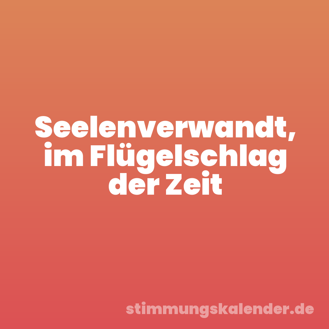 Seelenverwandt, im Flügelschlag der Zeit