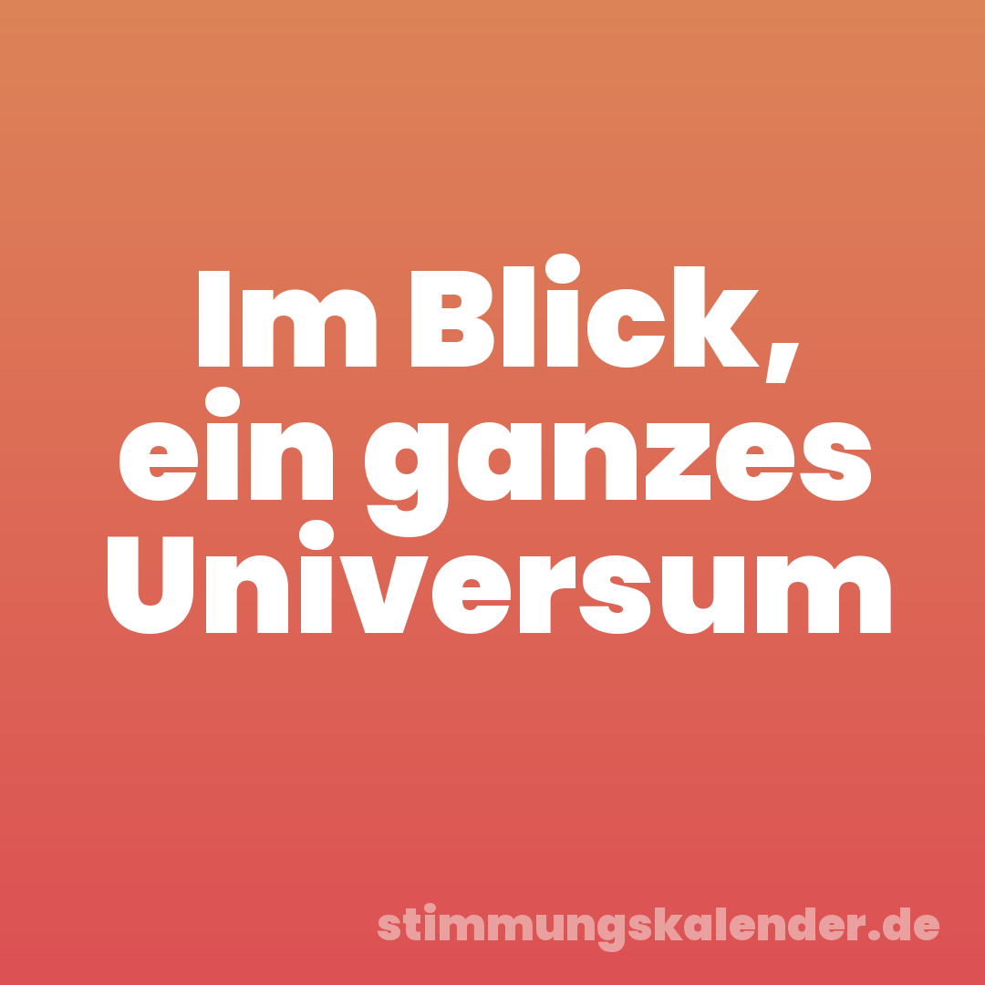 Im Blick, ein ganzes Universum