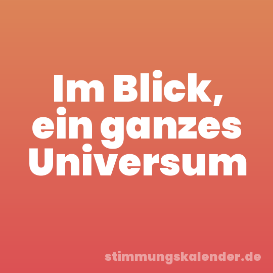 Im Blick, ein ganzes Universum