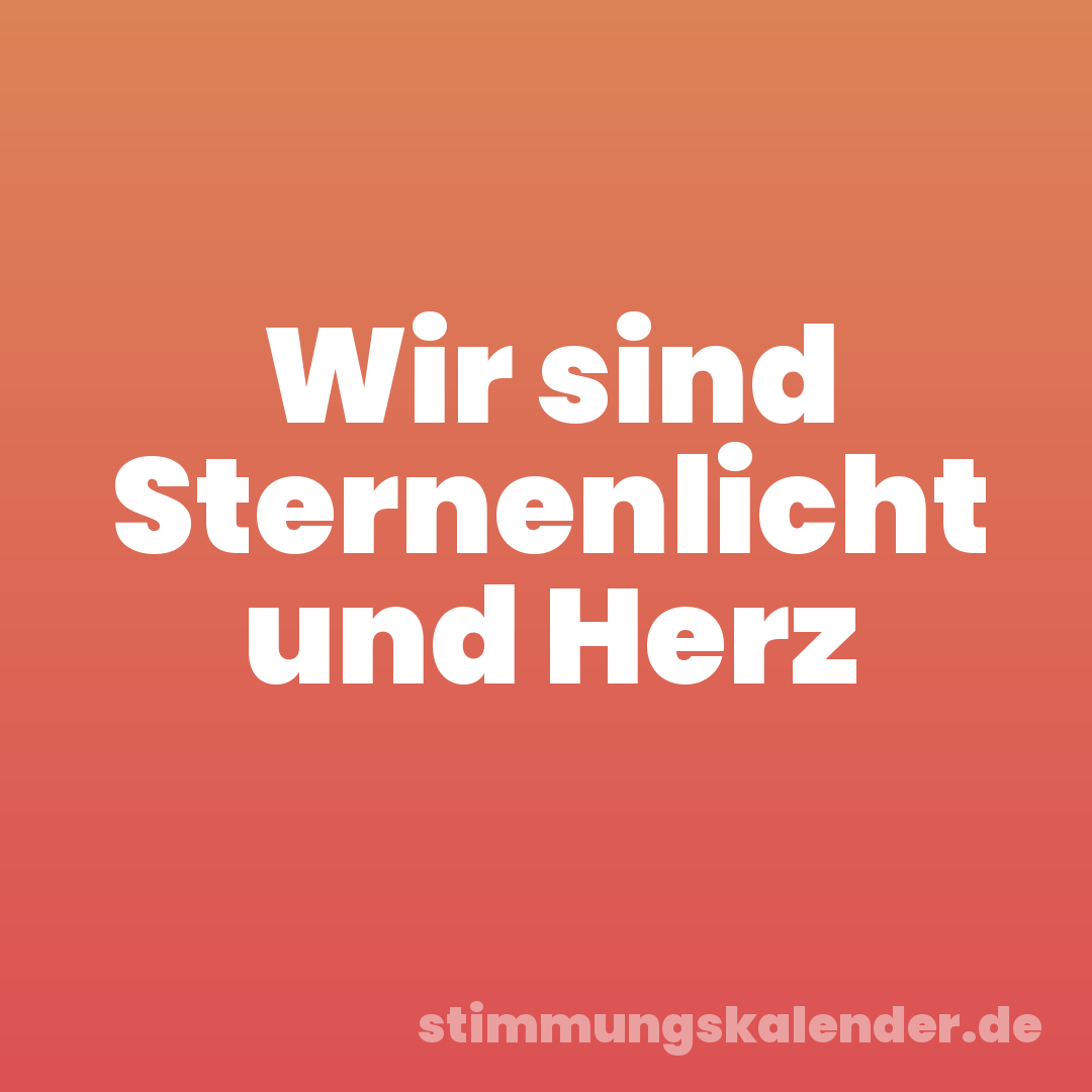 Wir sind Sternenlicht und Herz