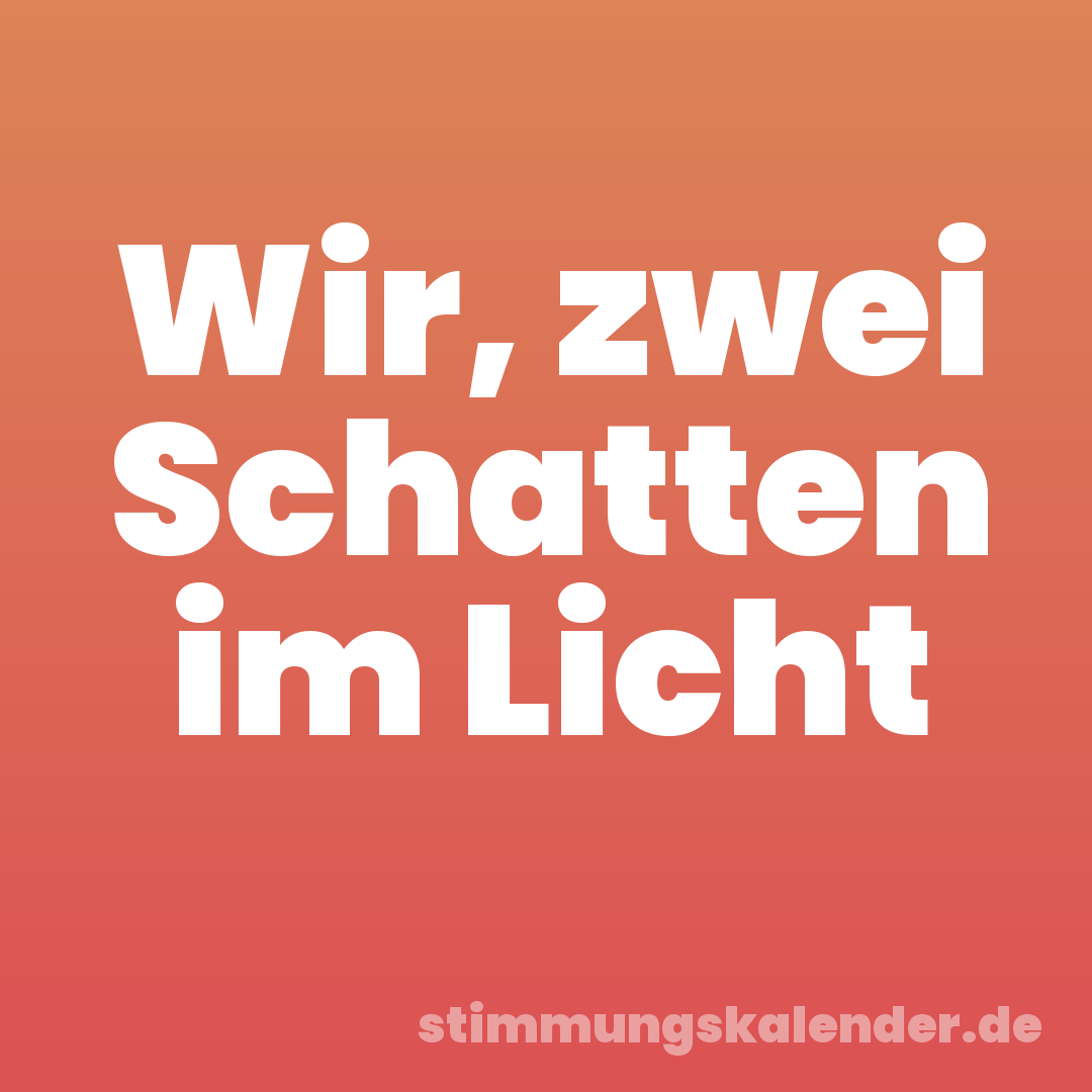 Wir, zwei Schatten im Licht