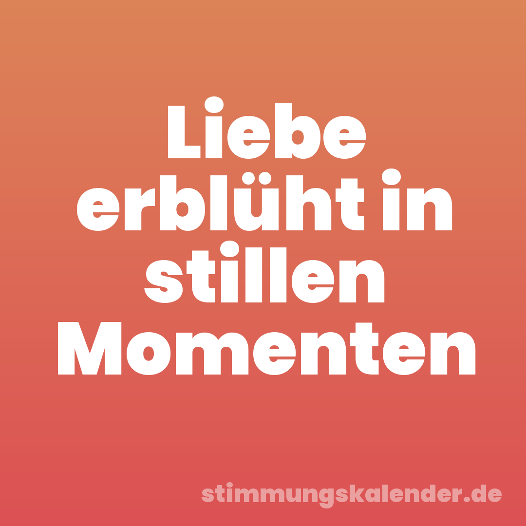 Liebe erblüht in stillen Momenten