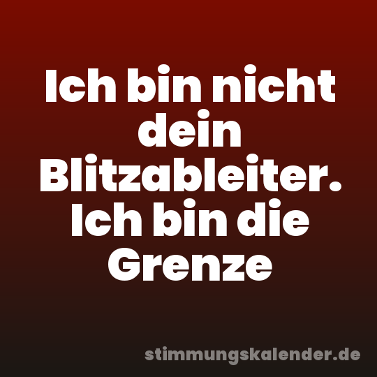 Ich bin nicht dein Blitzableiter. Ich bin die Grenze