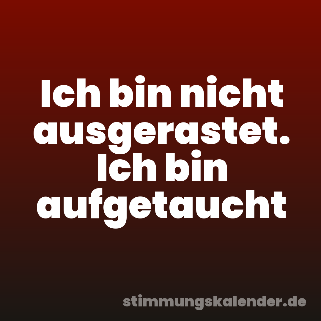 Ich bin nicht ausgerastet. Ich bin aufgetaucht