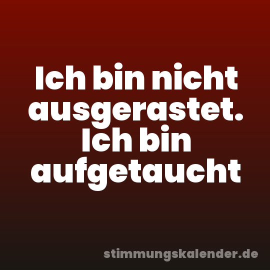Ich bin nicht ausgerastet. Ich bin aufgetaucht