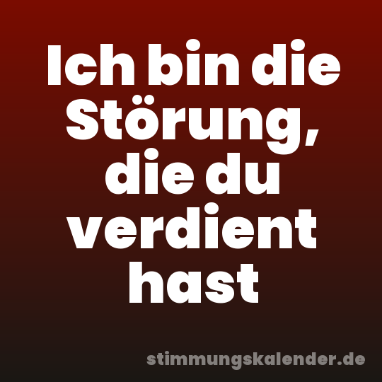Ich bin die Störung, die du verdient hast