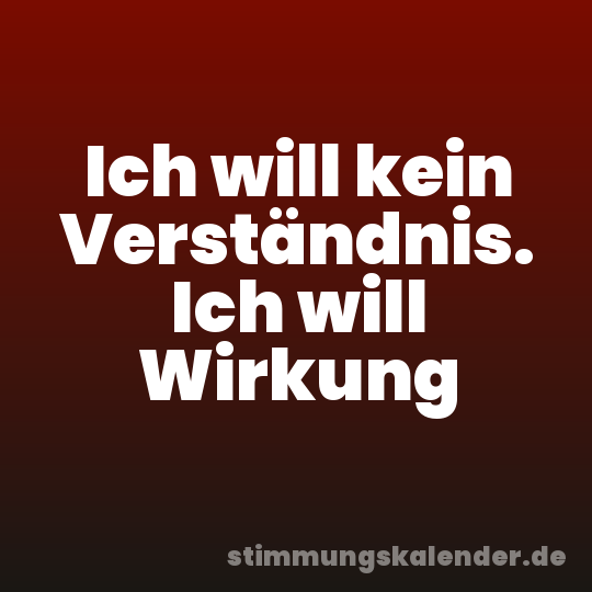 Ich will kein Verständnis. Ich will Wirkung