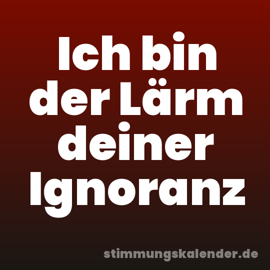 Ich bin der Lärm deiner Ignoranz