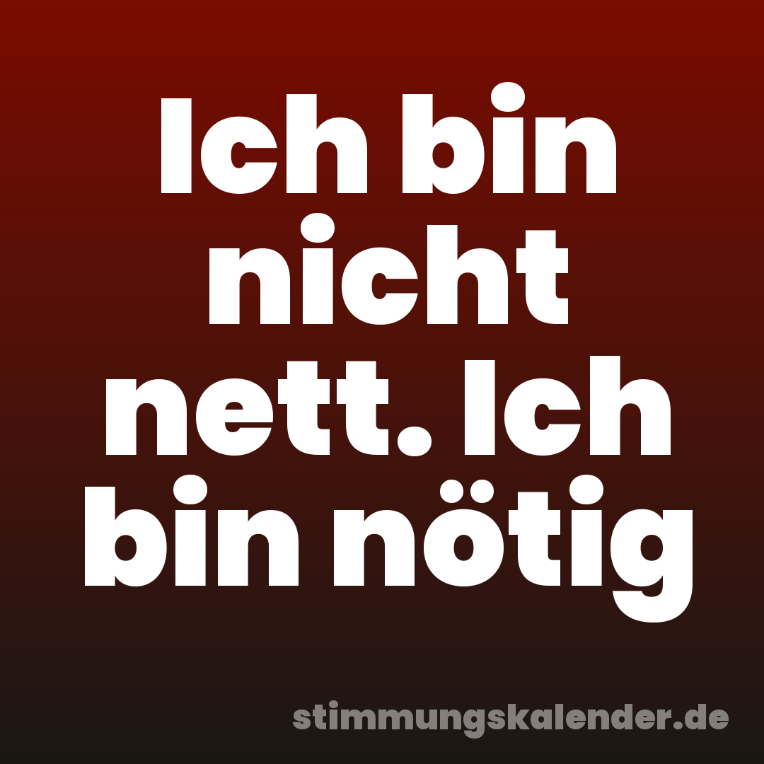 Ich bin nicht nett. Ich bin nötig