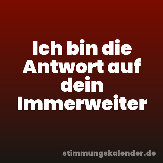 Ich bin die Antwort auf dein Immerweiter