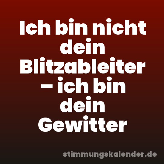 Ich bin nicht dein Blitzableiter – ich bin dein Gewitter
