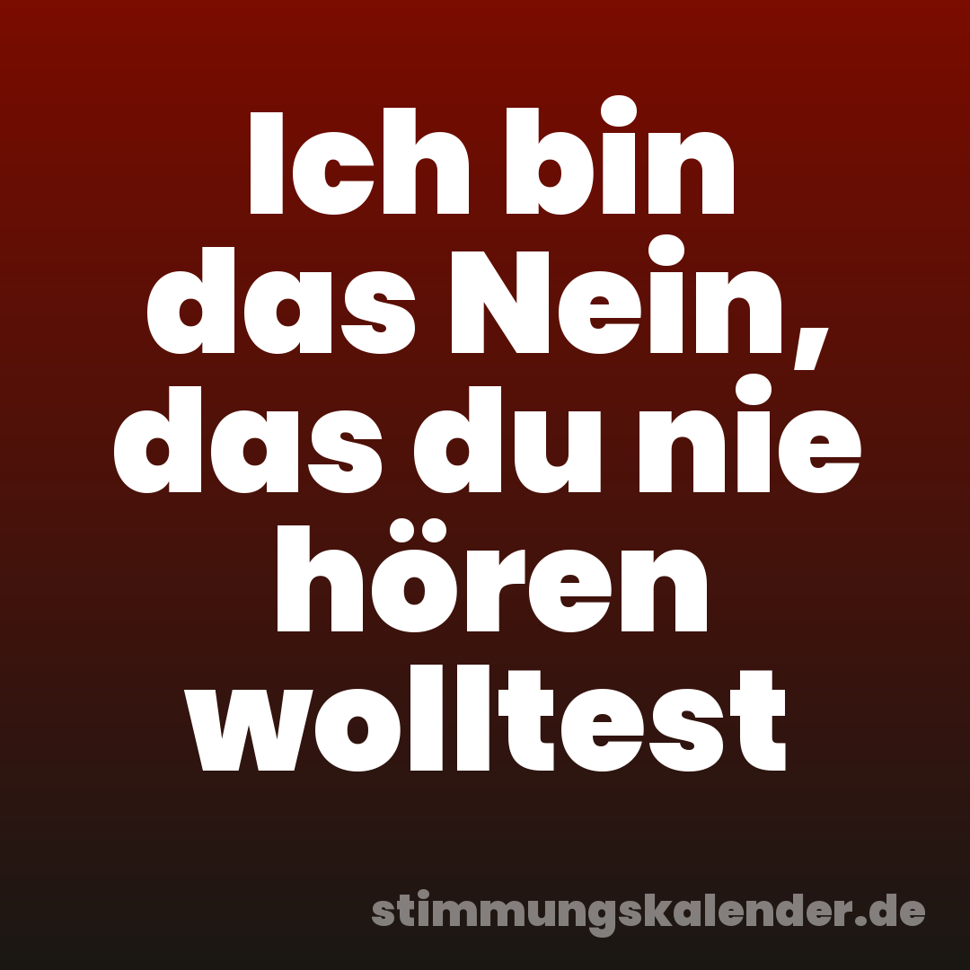 Ich bin das Nein, das du nie hören wolltest