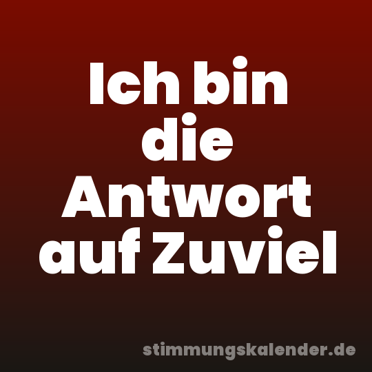 Ich bin die Antwort auf Zuviel