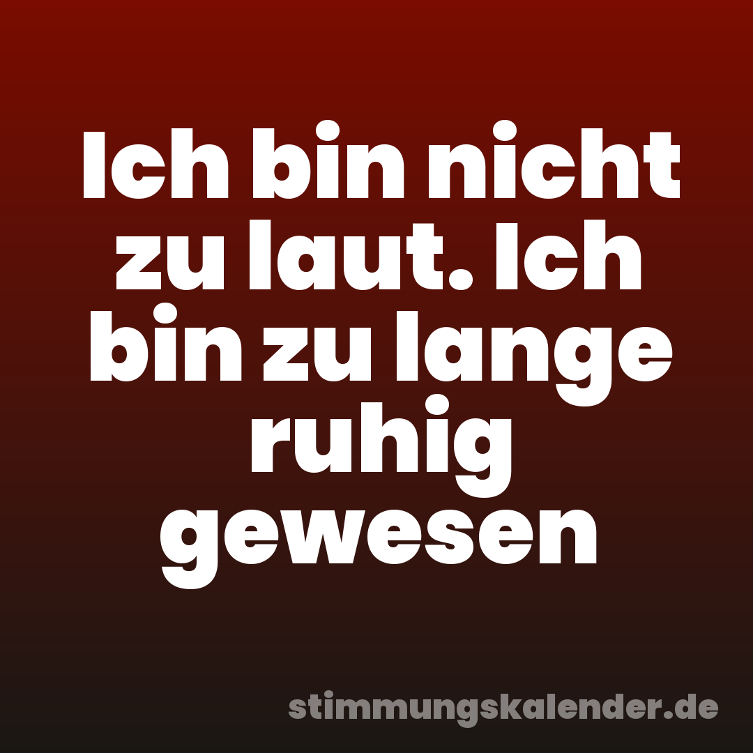 Ich bin nicht zu laut. Ich bin zu lange ruhig gewesen