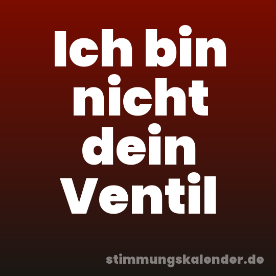 Ich bin nicht dein Ventil