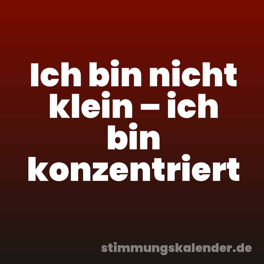 Ich bin nicht klein – ich bin konzentriert