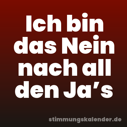 Ich bin das Nein nach all den Ja’s