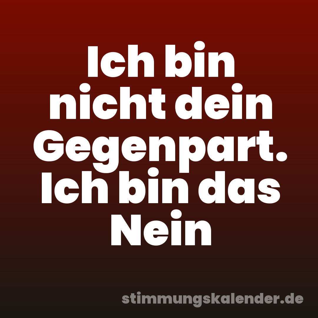Ich bin nicht dein Gegenpart. Ich bin das Nein