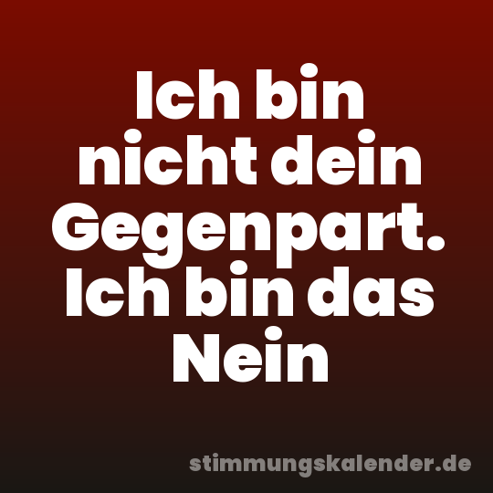 Ich bin nicht dein Gegenpart. Ich bin das Nein