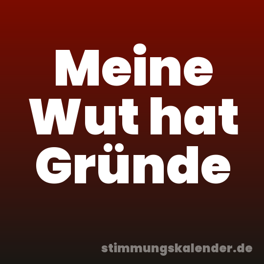 Meine Wut hat Gründe