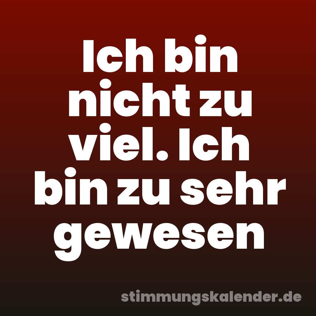 Ich bin nicht zu viel. Ich bin zu sehr gewesen