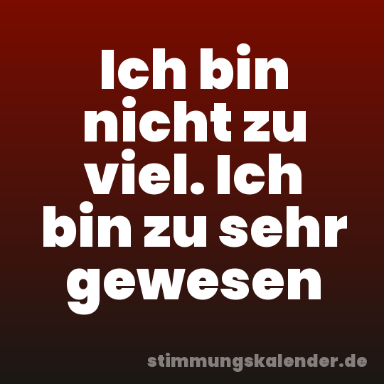 Ich bin nicht zu viel. Ich bin zu sehr gewesen