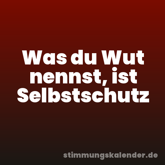 Was du Wut nennst, ist Selbstschutz