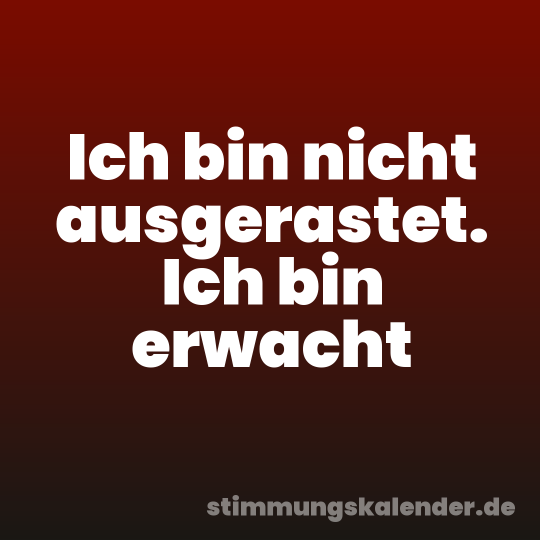Ich bin nicht ausgerastet. Ich bin erwacht