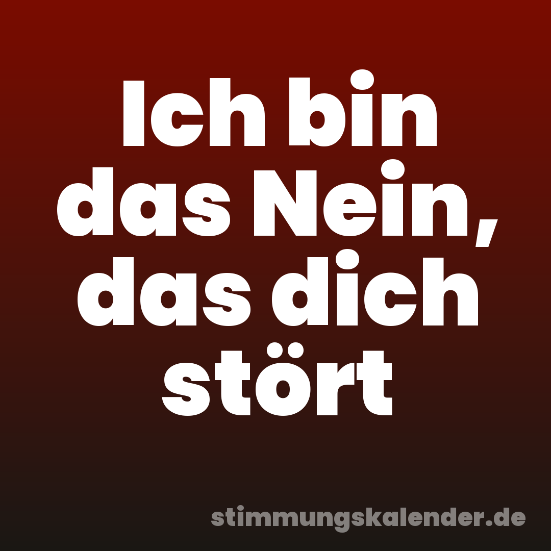 Ich bin das Nein, das dich stört