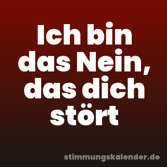 Ich bin das Nein, das dich stört