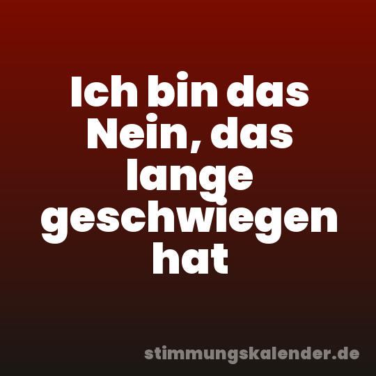 Ich bin das Nein, das lange geschwiegen hat