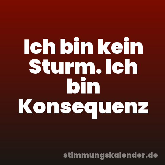 Ich bin kein Sturm. Ich bin Konsequenz
