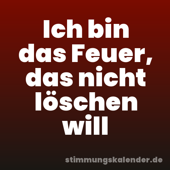 Ich bin das Feuer, das nicht löschen will