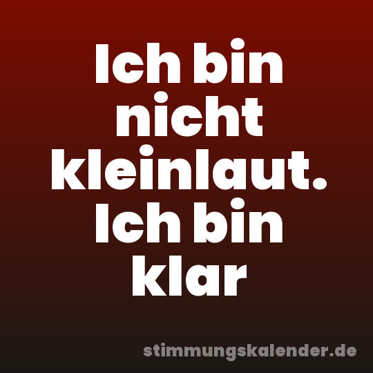 Ich bin nicht kleinlaut. Ich bin klar