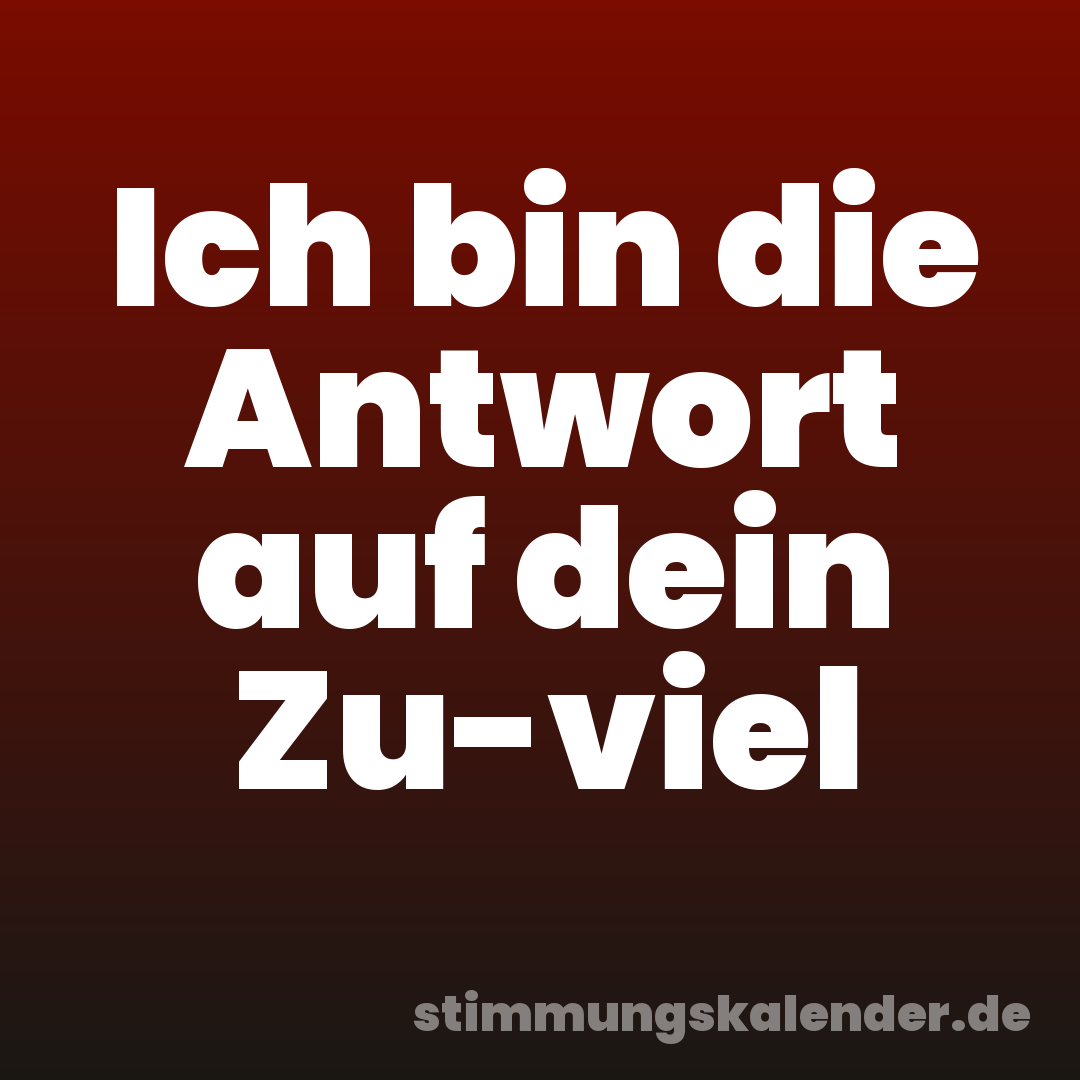 Ich bin die Antwort auf dein Zu-viel